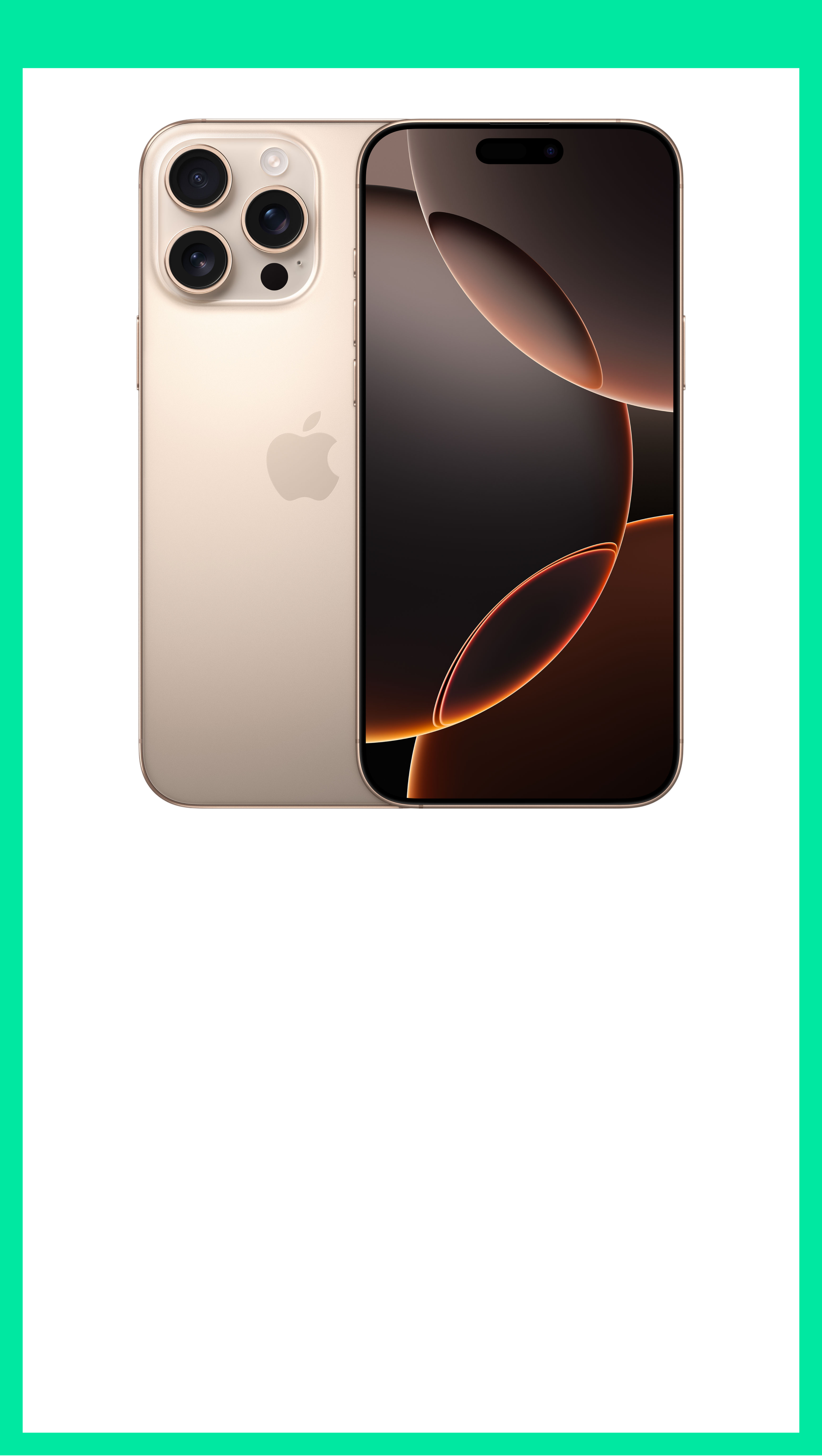 Apple iPhone 16 Pro Max